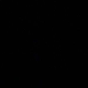 Meet your Posher, Ensf